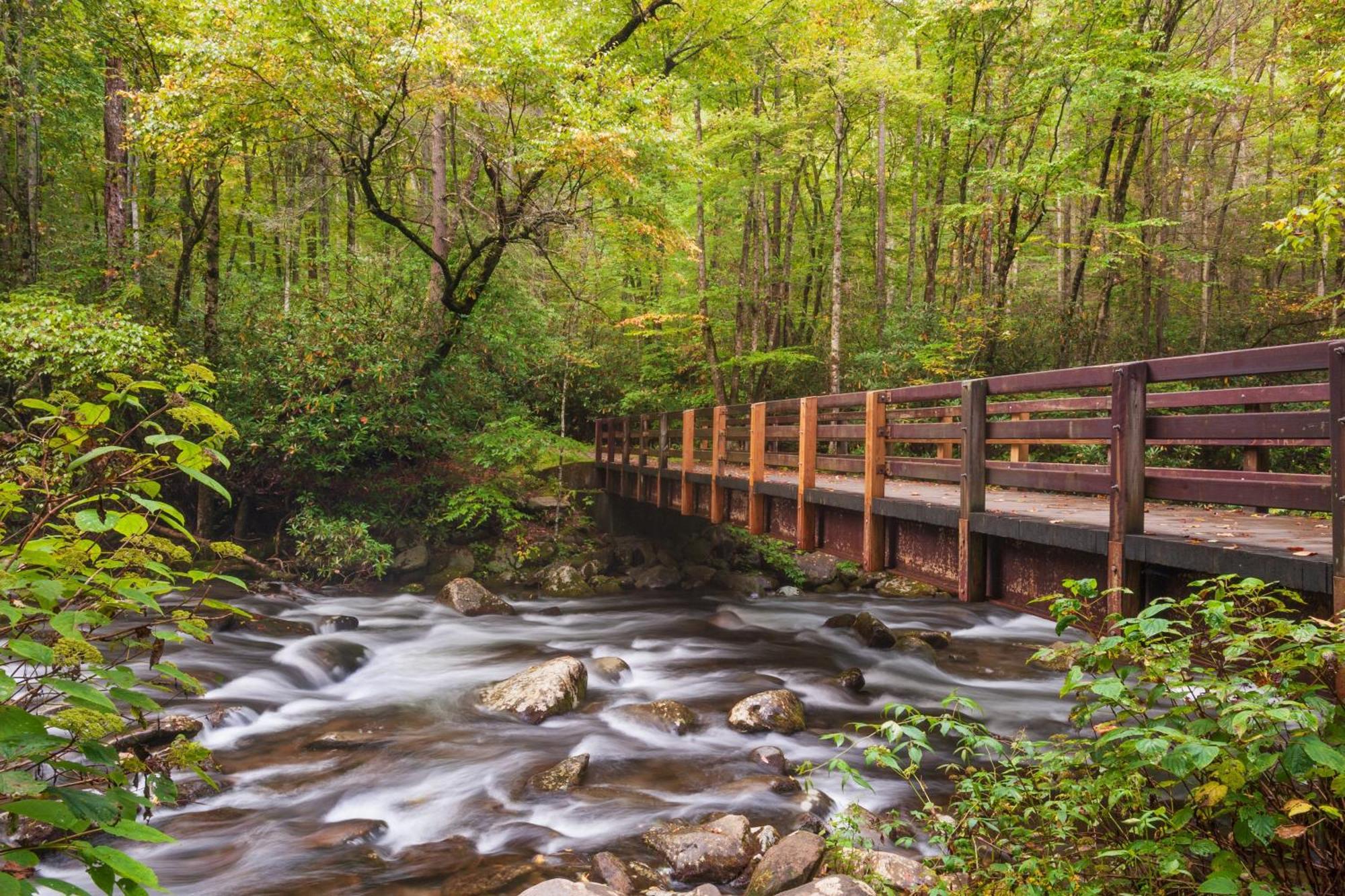 A Stones Throw, You Get 1089 Free Attraction Tickets Per Paid Day, Dollywood And Much More! พิเจนฟอร์จ ภายนอก รูปภาพ